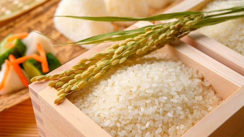 Riz Koshihikari et grains de riz Koshihikari