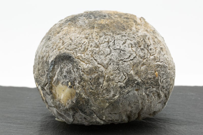 Ventadour truffel