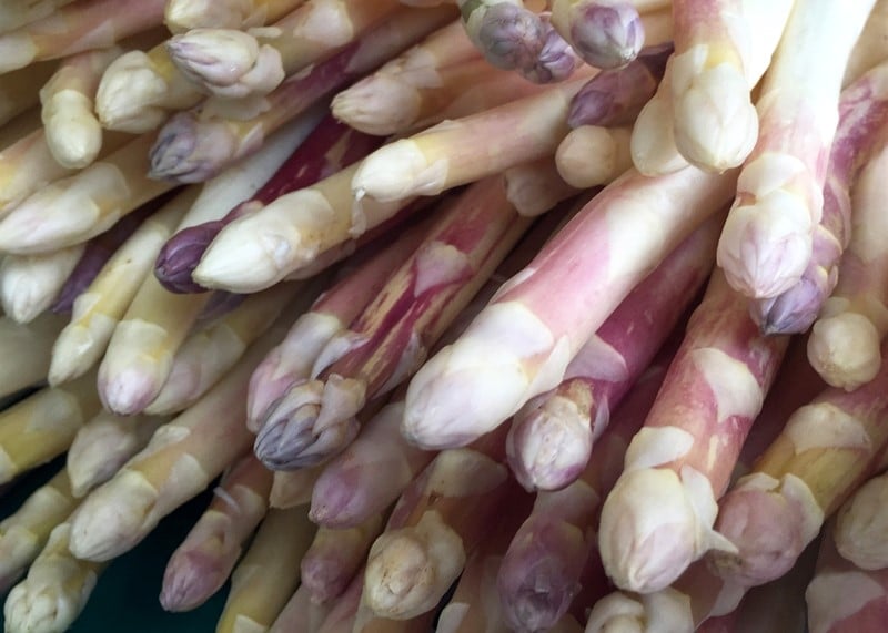 Asperges d'Argenteuil