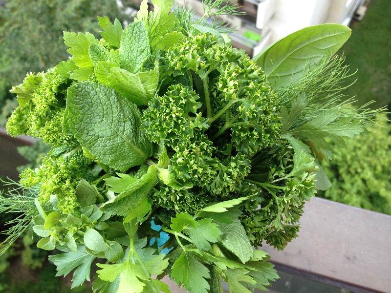 Herbes aromatiques Herbes aromatiques