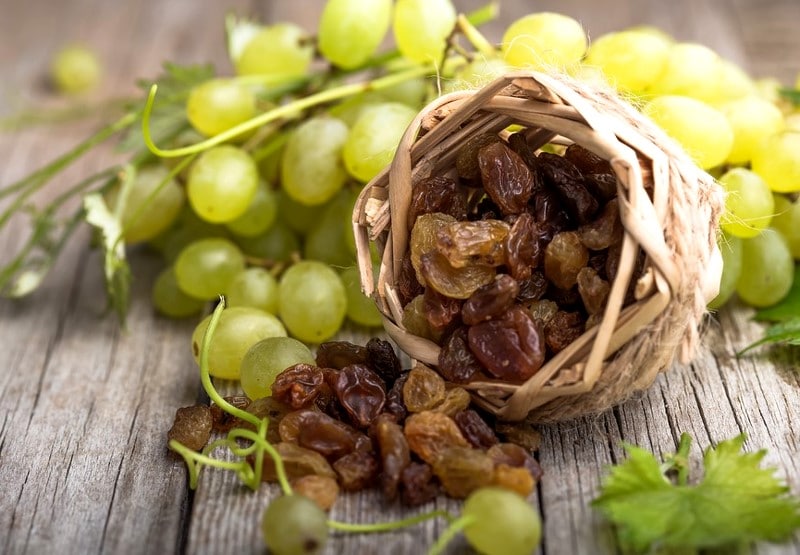 Fresh grapes and raisins