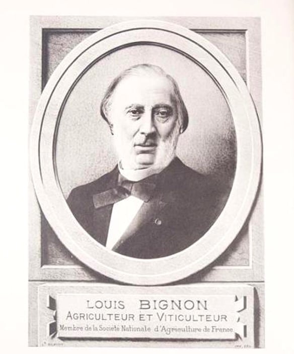 Louis Bignon