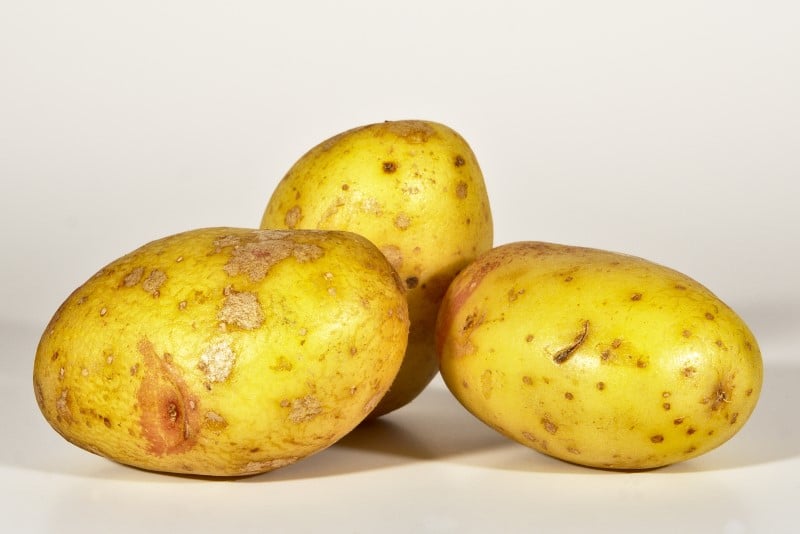 Pomme de terre King Edward