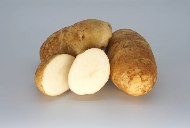 Pomme de terre Russet Burbank