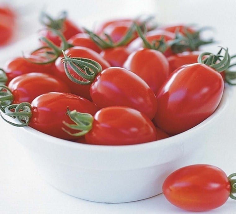 Pomodori Oliva