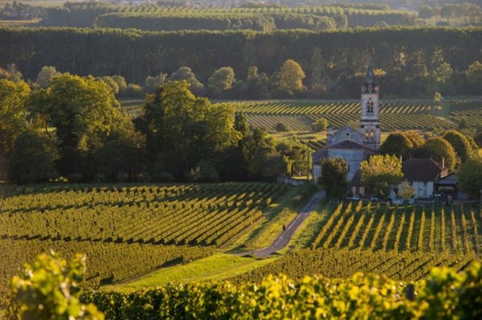 Village de Cadillac et vignoble