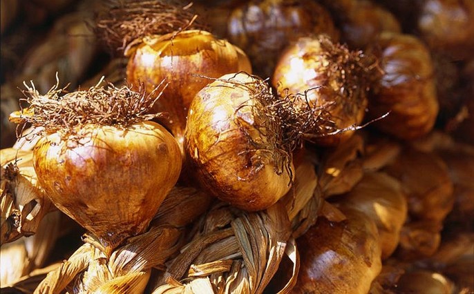 Ail fumé d’Arleux