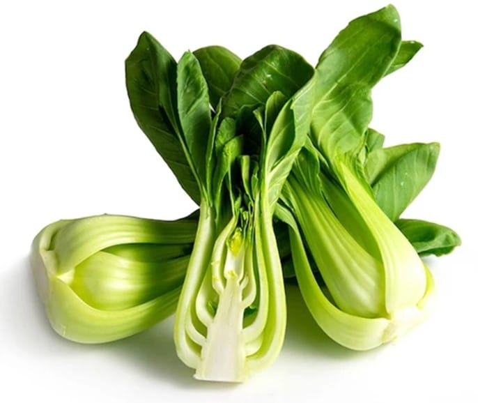 Chou cantonnais Brassica rapa subsp. chinensis var. parachinensisis