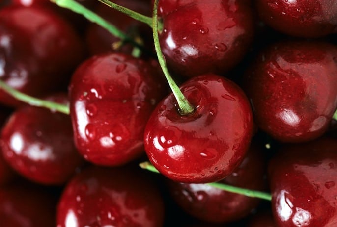 Cerises Bing