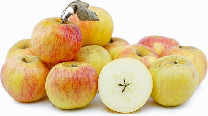 Pommes Cox&rsquo;s Orange Pippin