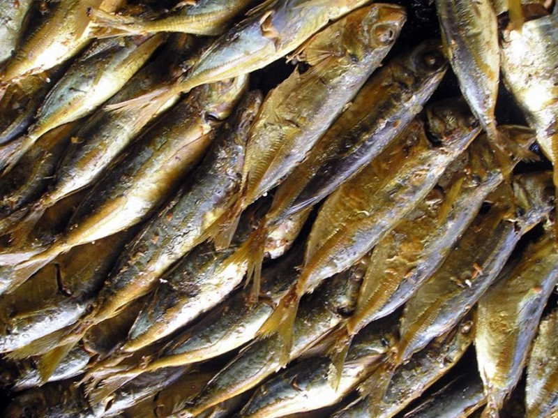 Filipino tinapa (pinausukang sardinas)