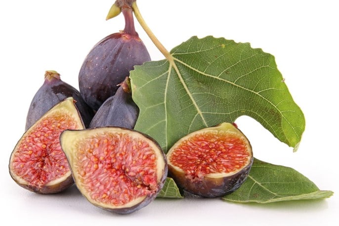 Figues, Ficus carica