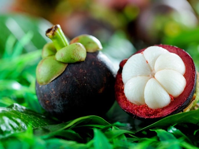 Mangosteen, Garcinia mangostana