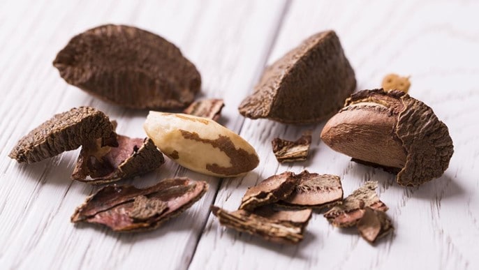 Brazil nut