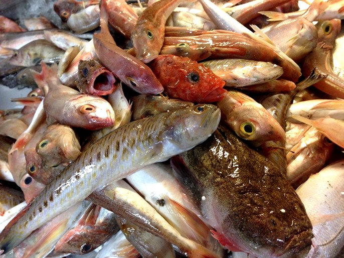 Poissons de roche à l'étal