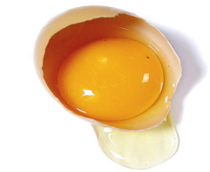 Œuf jaune d’œuf