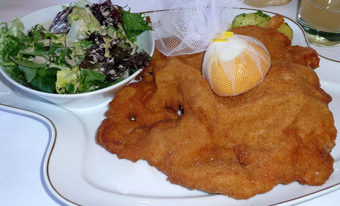 Oreille d’éléphant et salade verte Oreille d’éléphant et salade verte