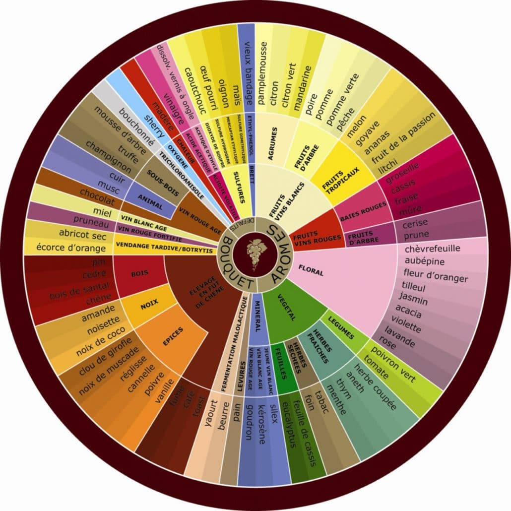 Round of wine aromas