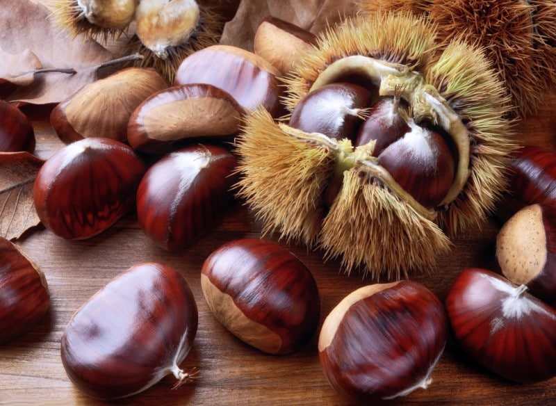 Castanhas