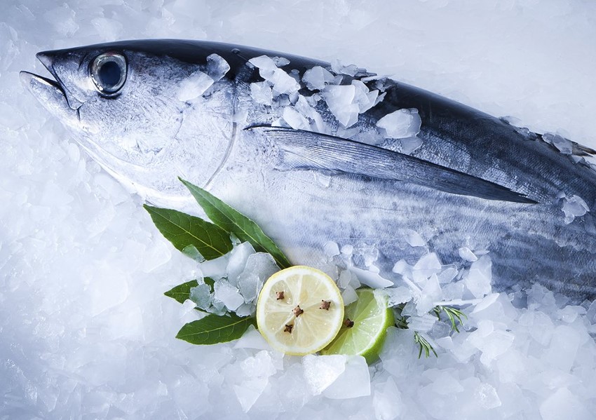 Albacore tuna at the stall