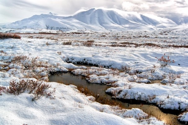 Siberian tundra