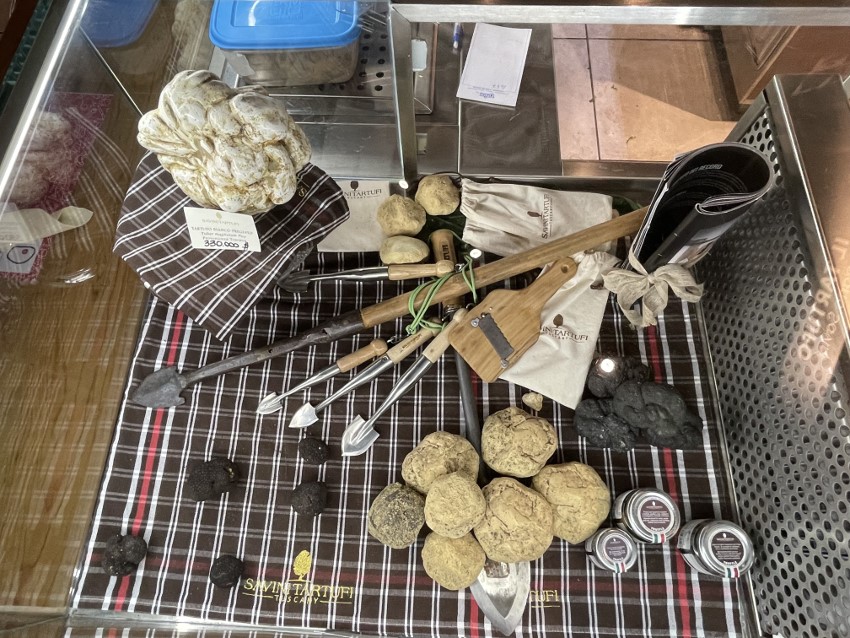Truffes blanches d’Alba et truffes noires de Toscane et matériel de récolte des truffes