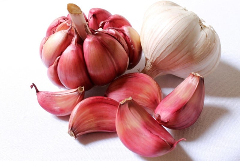 Sulmona's red garlic