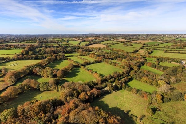 Bocage in der Normandie