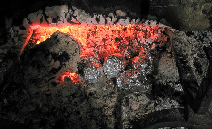 Cocinar remolachas bajo las cenizas.