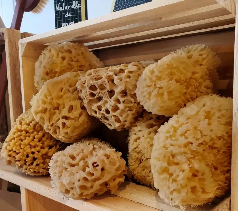 Éponges naturelles de mer