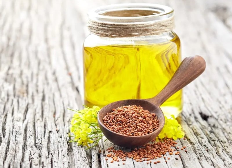 Camelina çiçekleri, tohumları ve yağı