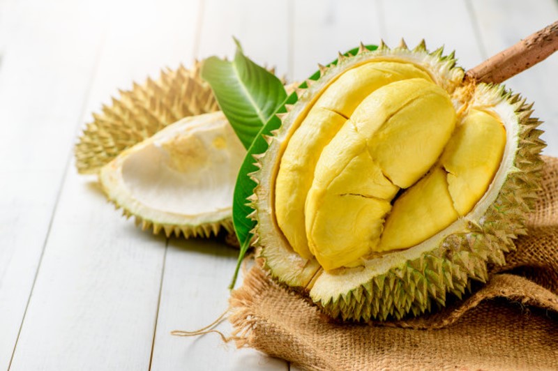 Durian King Musang