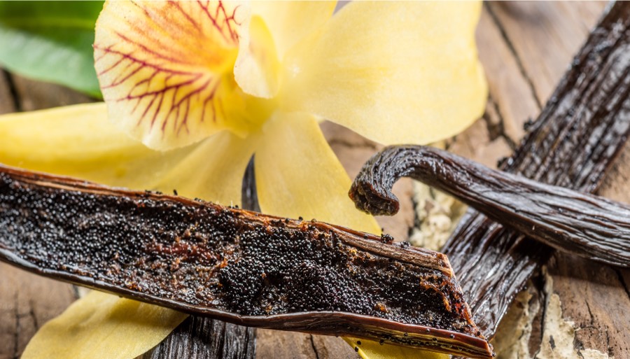 Vanilla pods and flower