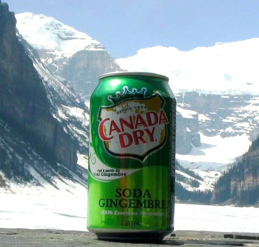 Can of Canada Dry