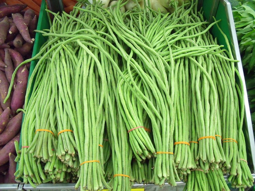 אספרגוס cowpeas, Vigna sesquipedalis