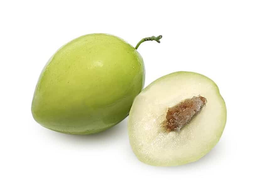 Sour apple, Ziziphus mauritiana