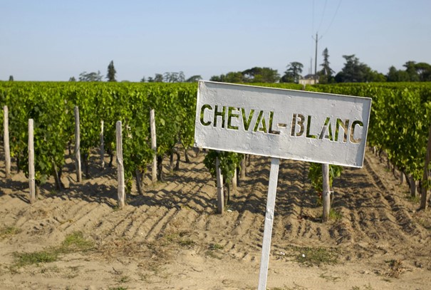 Kebun anggur Château Cheval-Blanc