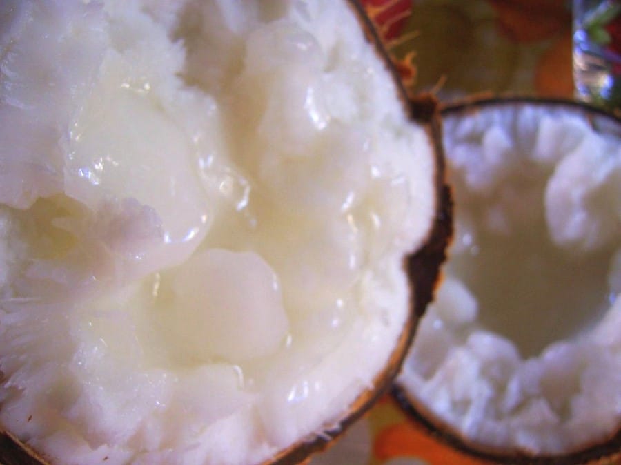 Kopyor coconut meat