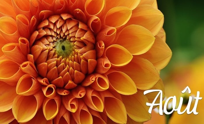 Août