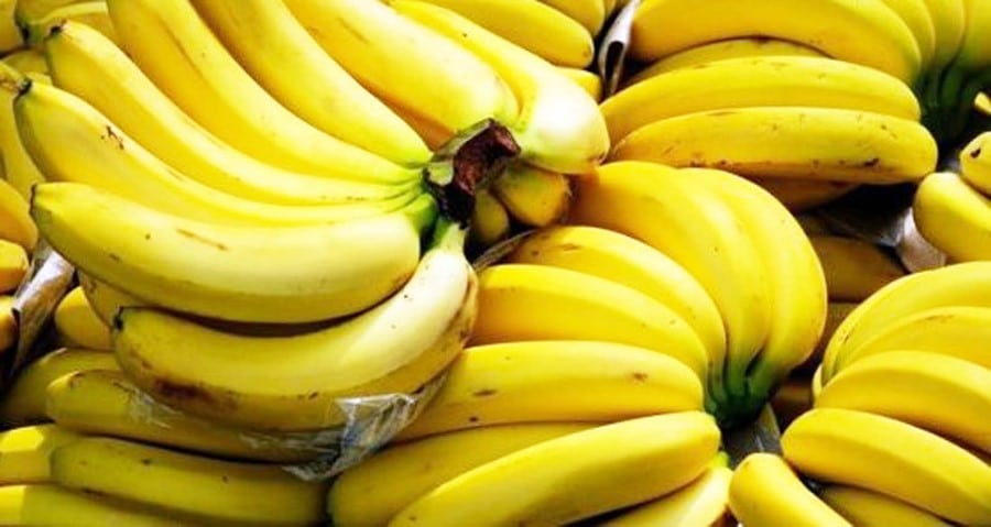 Bananen aus Lakatan