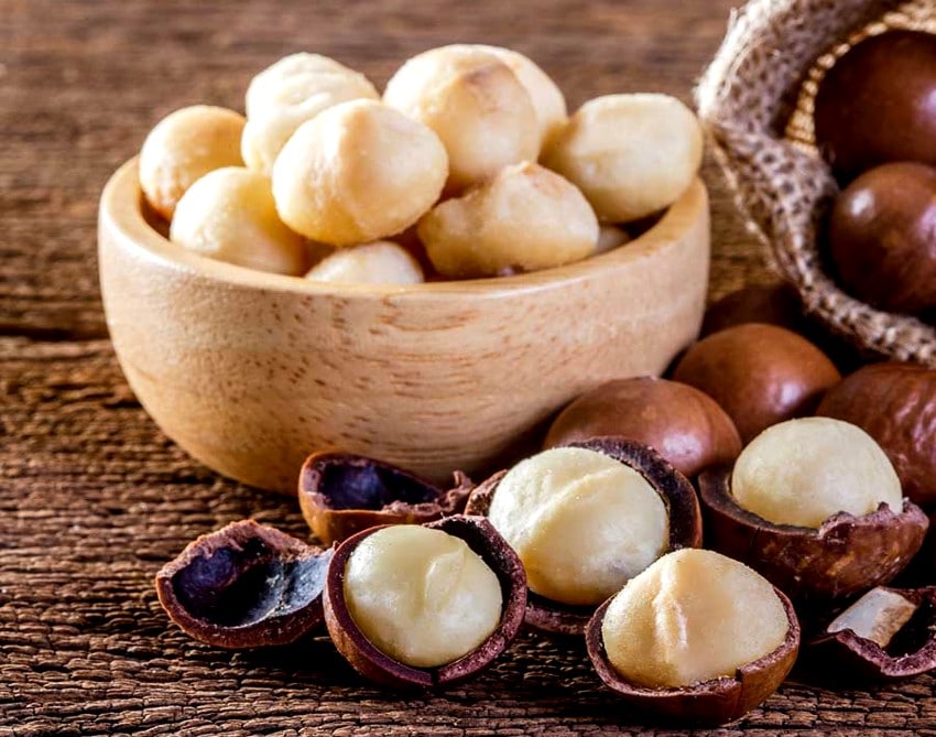 Macadamia fıstığı