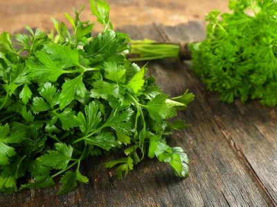 Persil plat et persil frisé