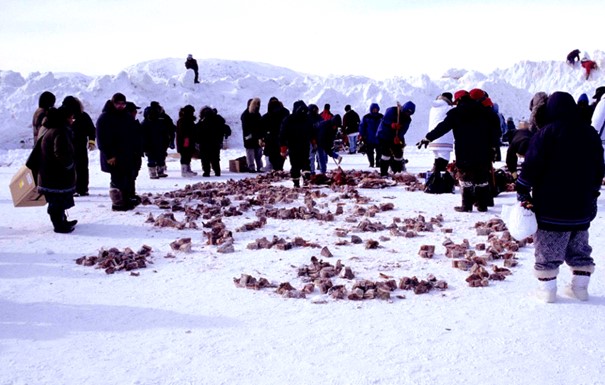 Partage d&rsquo;Igunak entre familles inuites