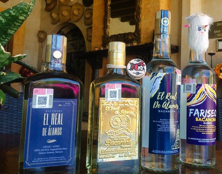 Diferentes botellas de bacanora