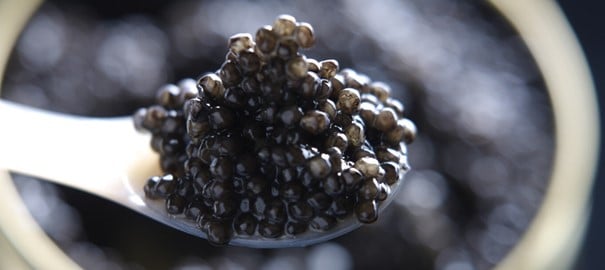 Caviar Oona