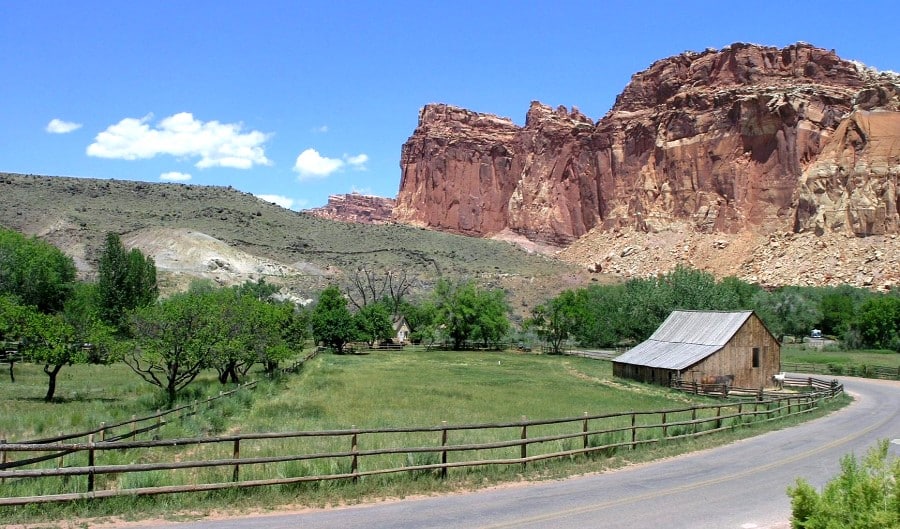 Peternakan Gifford di Capitol Reef, Utah