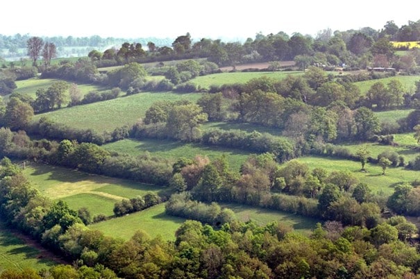 Sebes de bocage da Normandia