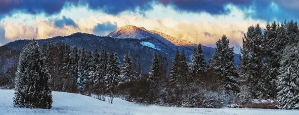 Linia albastră a Vosgilor