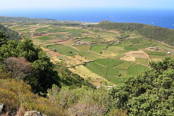 Pantelleria adasındaki Montagna Grande'den Piana di Ghirlanda bağı