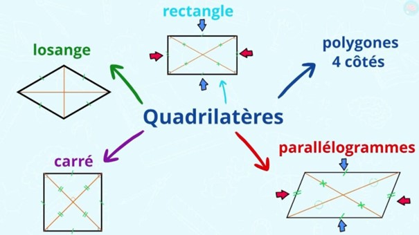 Quadrilatères